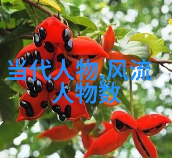 观舒桐闯帐听琴有感