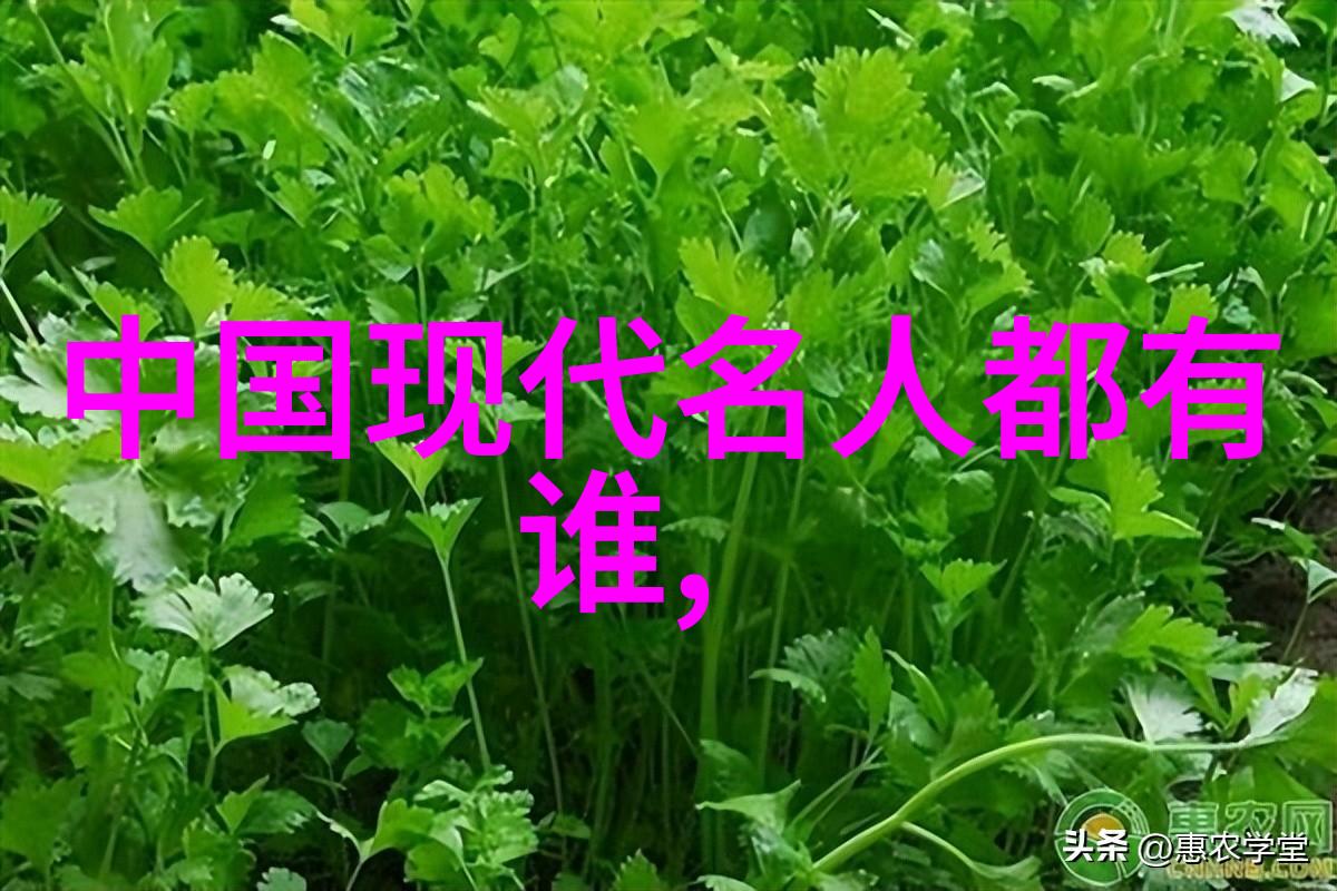 范晔